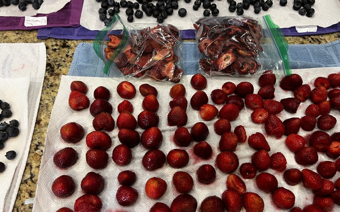 Time to dehydrate some fresh Berries